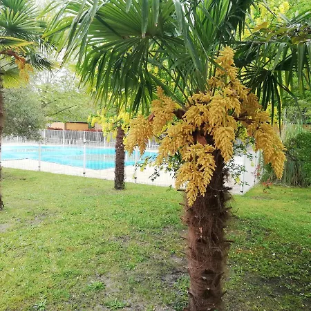 Petite Maison De * Onesse-et-Laharie